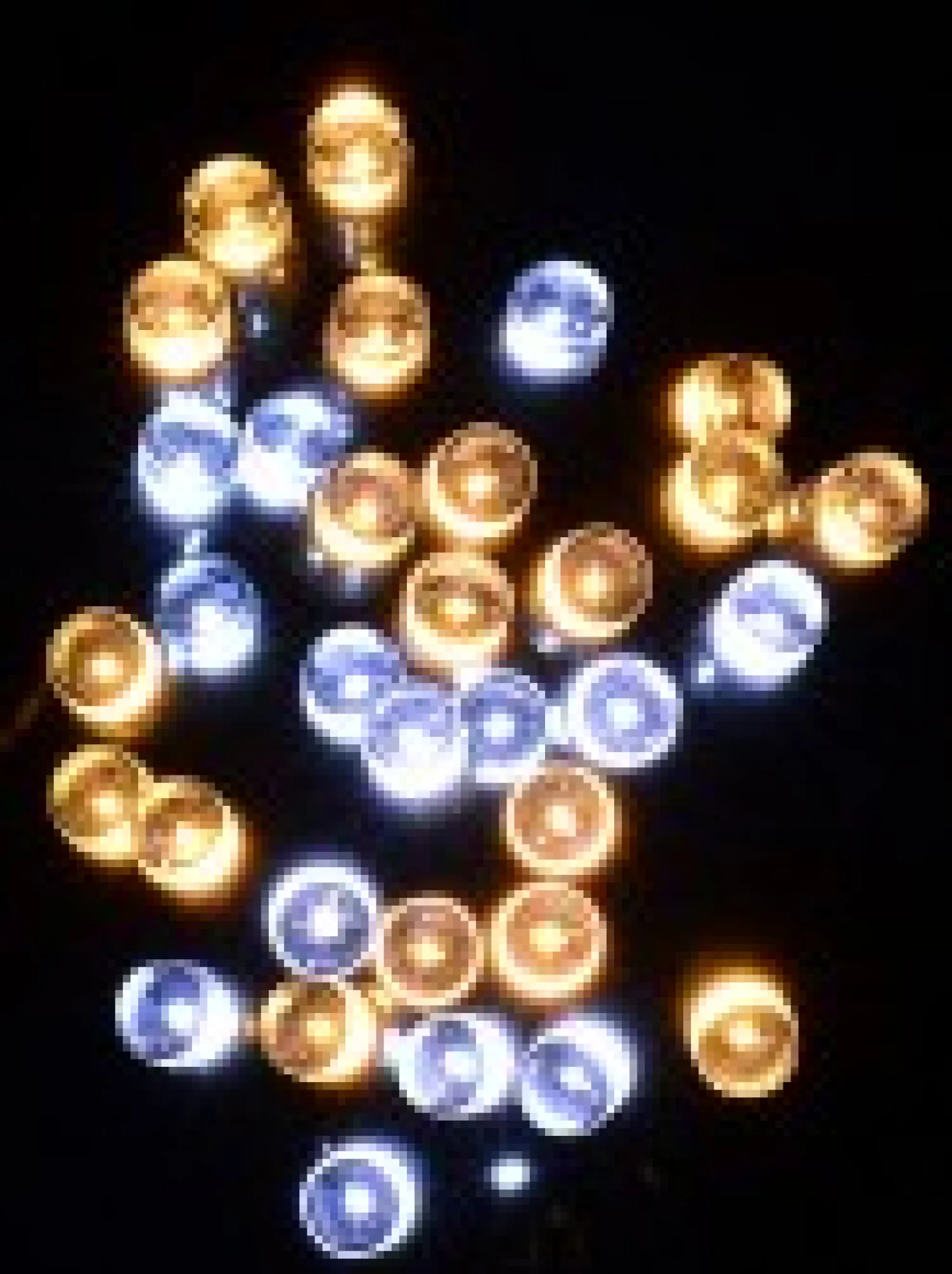 Christmas Warehouse 1000 Cool & Warm White Led Concave Bulb Wifi Christmas String Lights - 50M> Led Fairy Lights