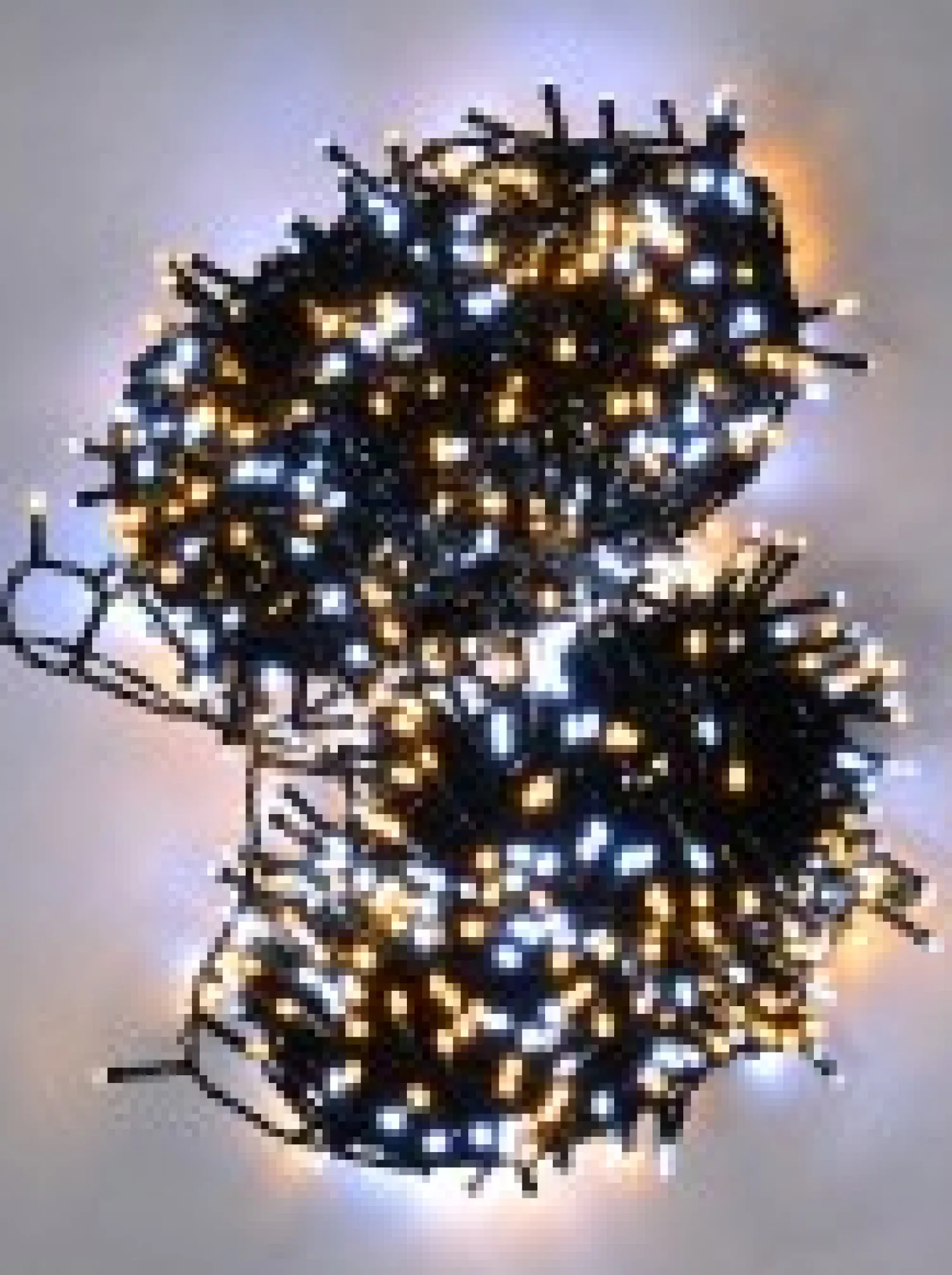 Christmas Warehouse 1000 Cool & Warm White Led Concave Bulb Wifi Christmas String Lights - 50M> Led Fairy Lights