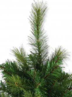 Christmas Warehouse Balsam Pine Table Top Christmas Tree With 104 Tips - 65Cm> Table Top Christmas Trees