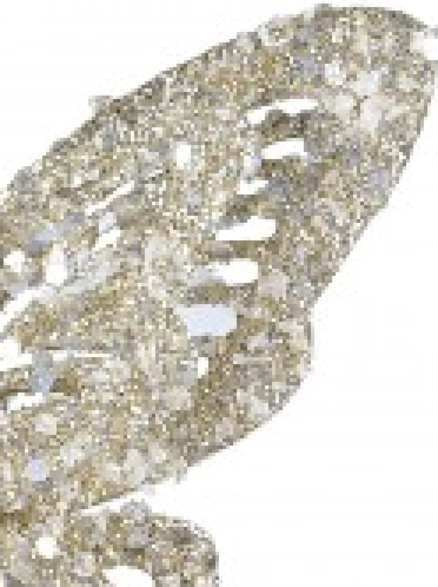 Christmas Warehouse Champagne Butterfly With Glitter & Flecks Christmas Critter Pick - 16Cm> Christmas Picks