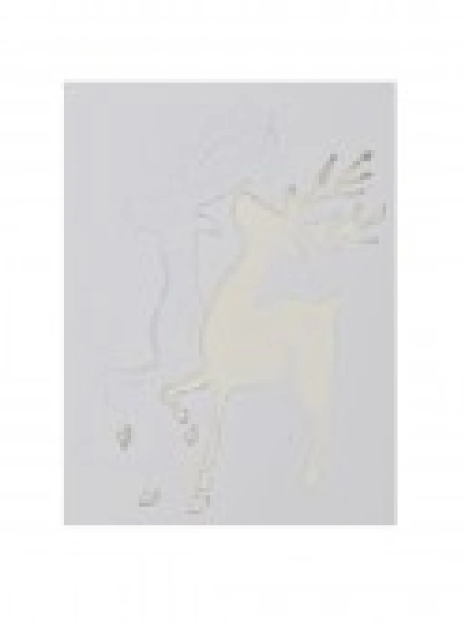 Christmas Warehouse Christmas Themes Reusable Spray Snow Stencil Christmas Decorations - 24Cm> Window Decals, Stencils & Stickers
