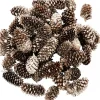 Christmas Warehouse Decorative Gold & Champagne Glittered Natural Christmas Pine Cones - 100G> Natural Christmas Decorations