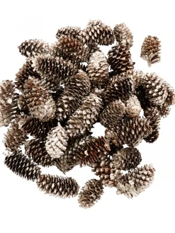 Christmas Warehouse Decorative Gold & Champagne Glittered Natural Christmas Pine Cones - 100G> Natural Christmas Decorations