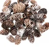 Christmas Warehouse Decorative White Frosted Natural Christmas Long Pine Cones - 100G> Natural Christmas Decorations