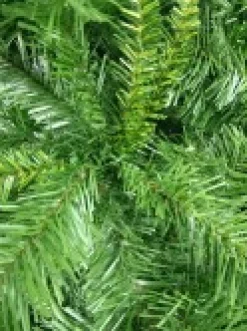 Christmas Warehouse Eastern Pine Traditional Christmas Tree With 717 Tips - 1.8M><noscript><img width=