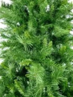 Christmas Warehouse Eastern Pine Traditional Christmas Tree With 1221 Tips - 2.3M> Traditional Christmas Trees