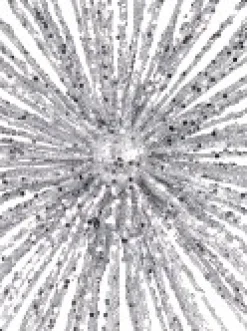 Christmas Warehouse Glittered Silver Starburst Christmas Tree Topper Decoration - 38Cm> Tree Top Decorations