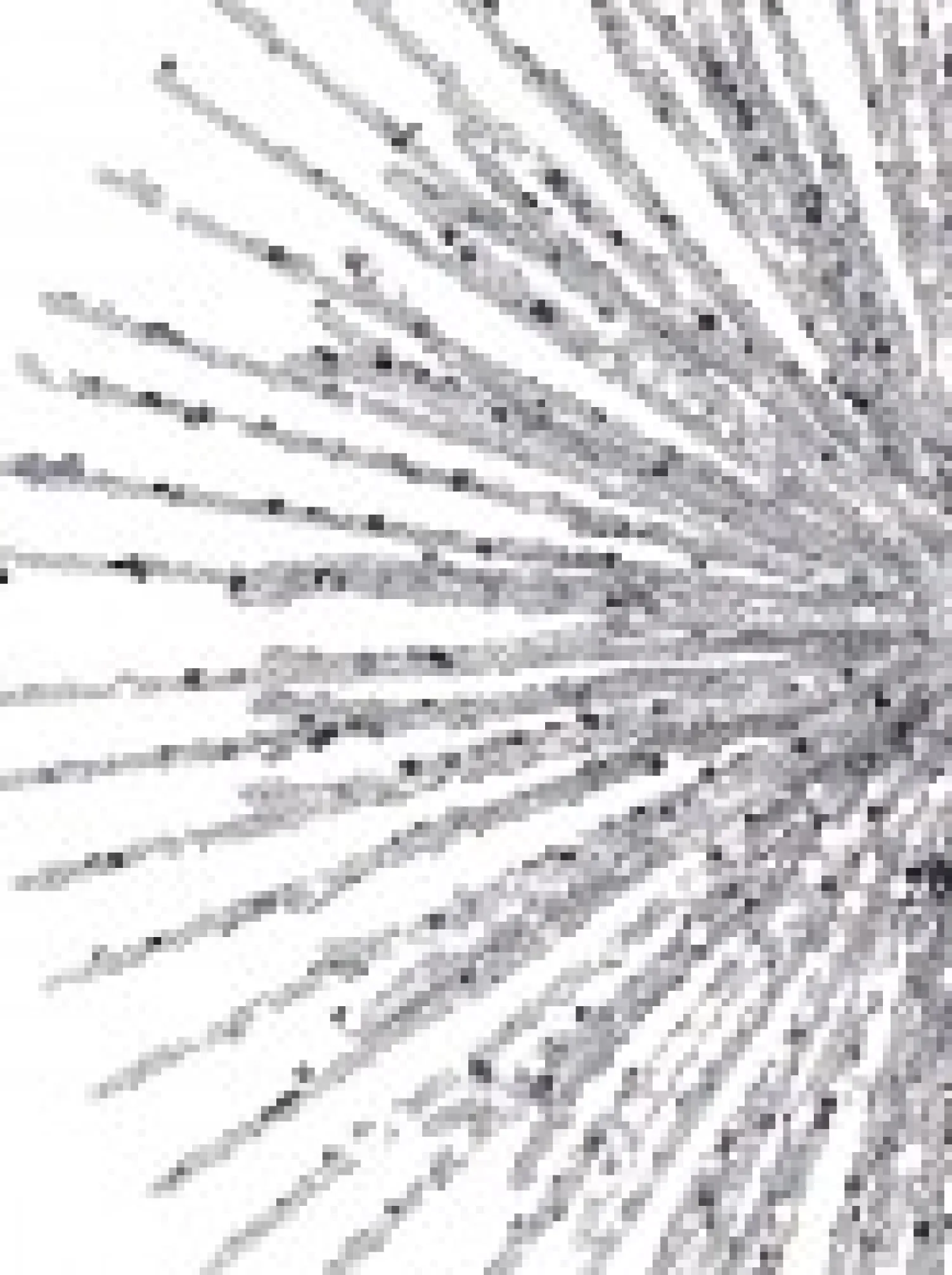 Christmas Warehouse Glittered Silver Starburst Christmas Tree Topper Decoration - 38Cm> Tree Top Decorations