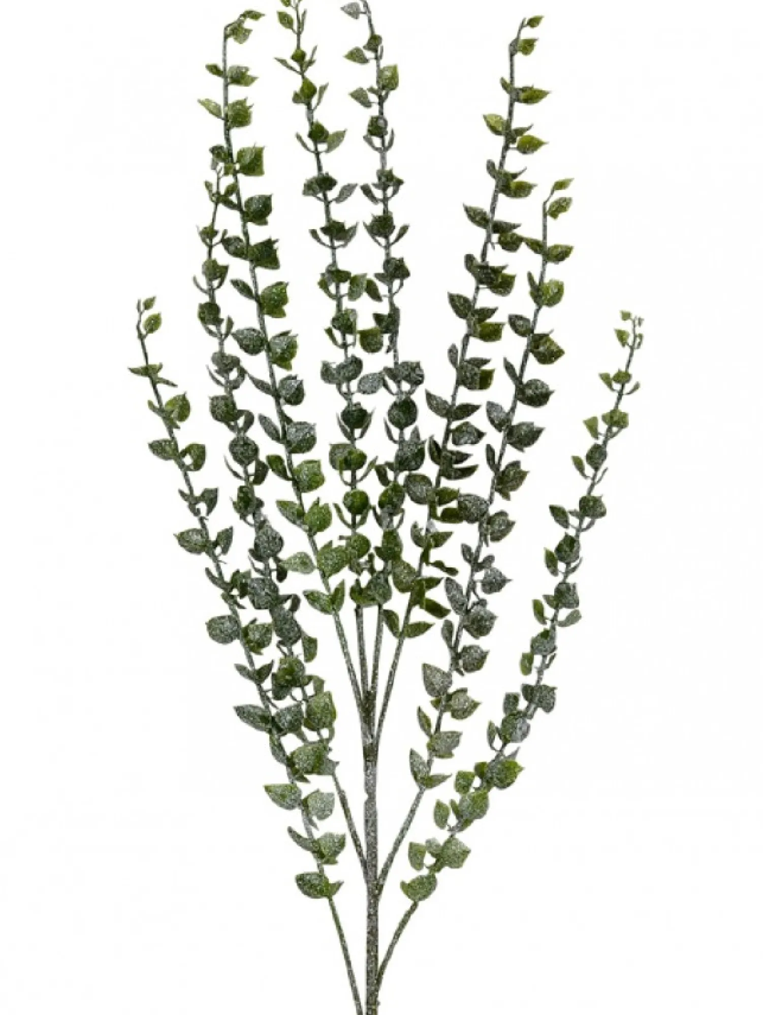 Christmas Warehouse Green Baby Blue Eucalyptus Leaves Decorative Christmas Spray Stem - 80Cm> Christmas Stems
