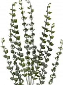 Christmas Warehouse Green Baby Blue Eucalyptus Leaves Decorative Christmas Spray Stem - 80Cm><noscript><img width=