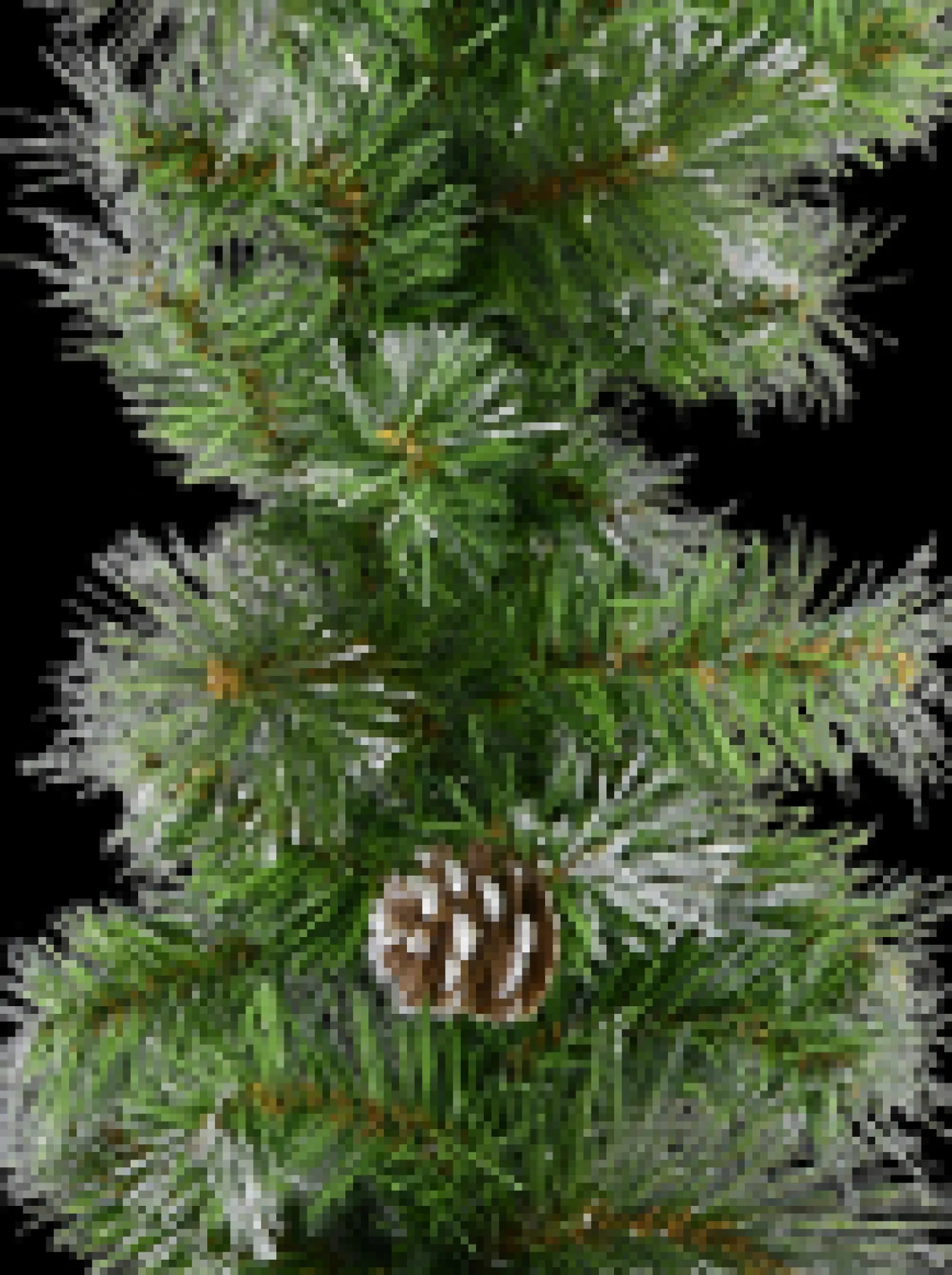 Christmas Warehouse Green Pine Needle Garland With Pine Cones & 180 Silver Glitter Tips - 2.7M> Christmas Garlands