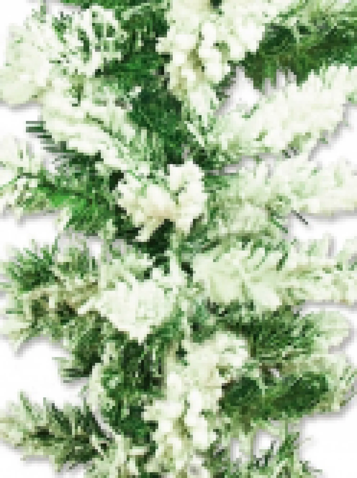 Christmas Warehouse Heavily Flocked Antarctic Snow Pine Christmas Garland With 180 Tips - 2.7M> Christmas Garlands