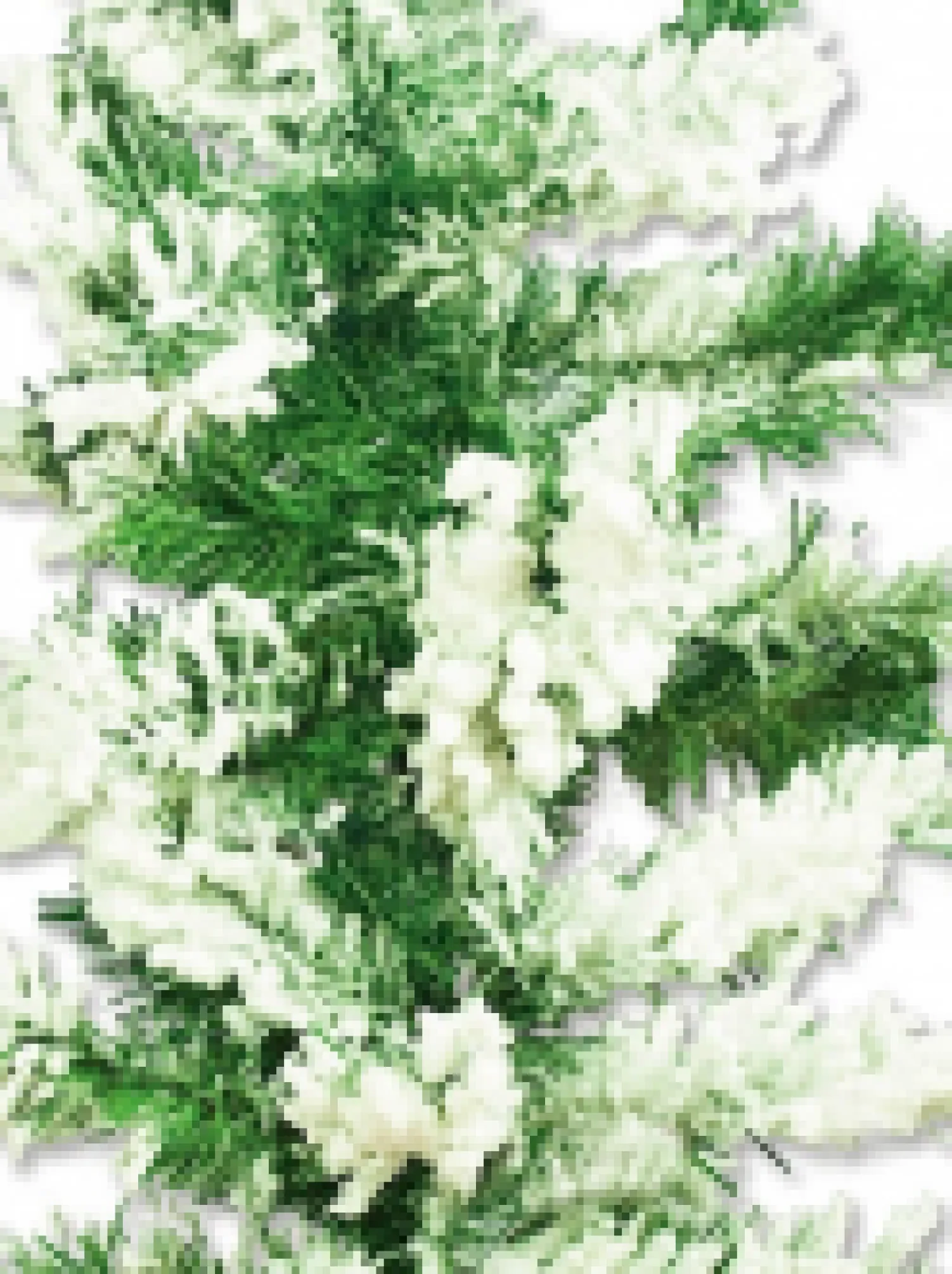 Christmas Warehouse Heavily Flocked Antarctic Snow Pine Christmas Garland With 180 Tips - 2.7M> Christmas Garlands