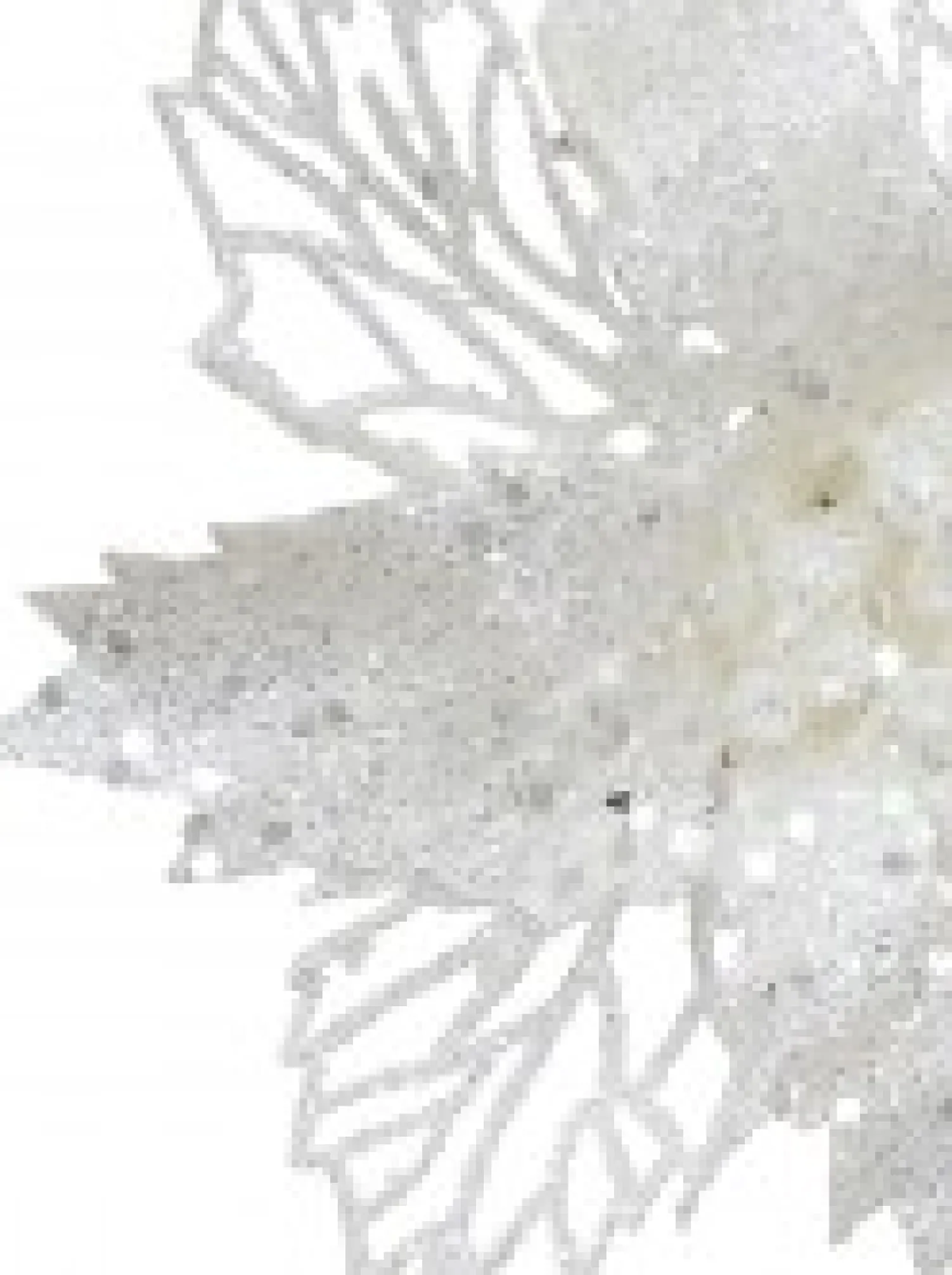 Christmas Warehouse Iridescent Glitter Petal & Leaf Poinsettia Christmas Flower Pick - 18Cm> Christmas Picks