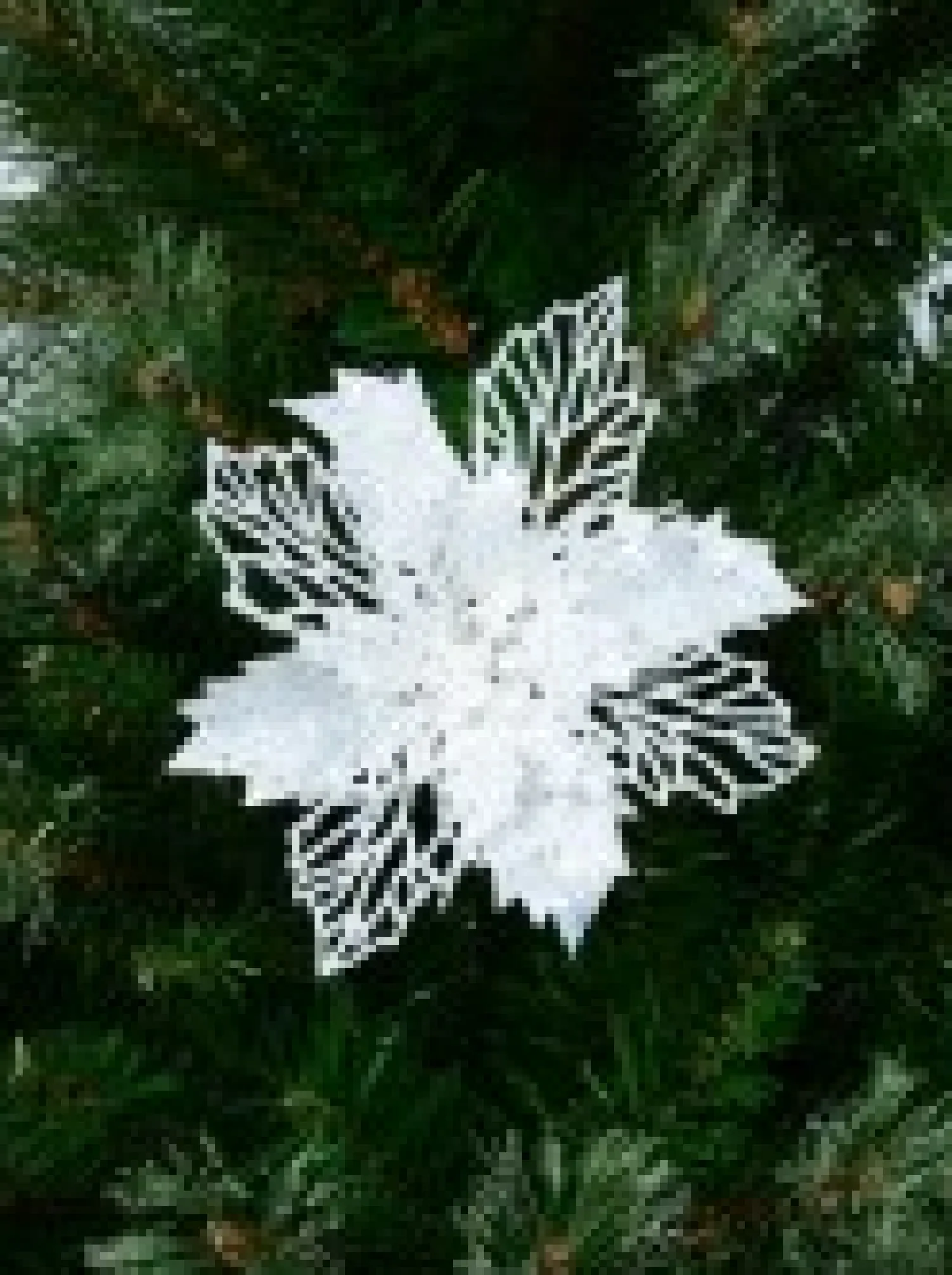 Christmas Warehouse Iridescent Glitter Petal & Leaf Poinsettia Christmas Flower Pick - 18Cm> Christmas Picks