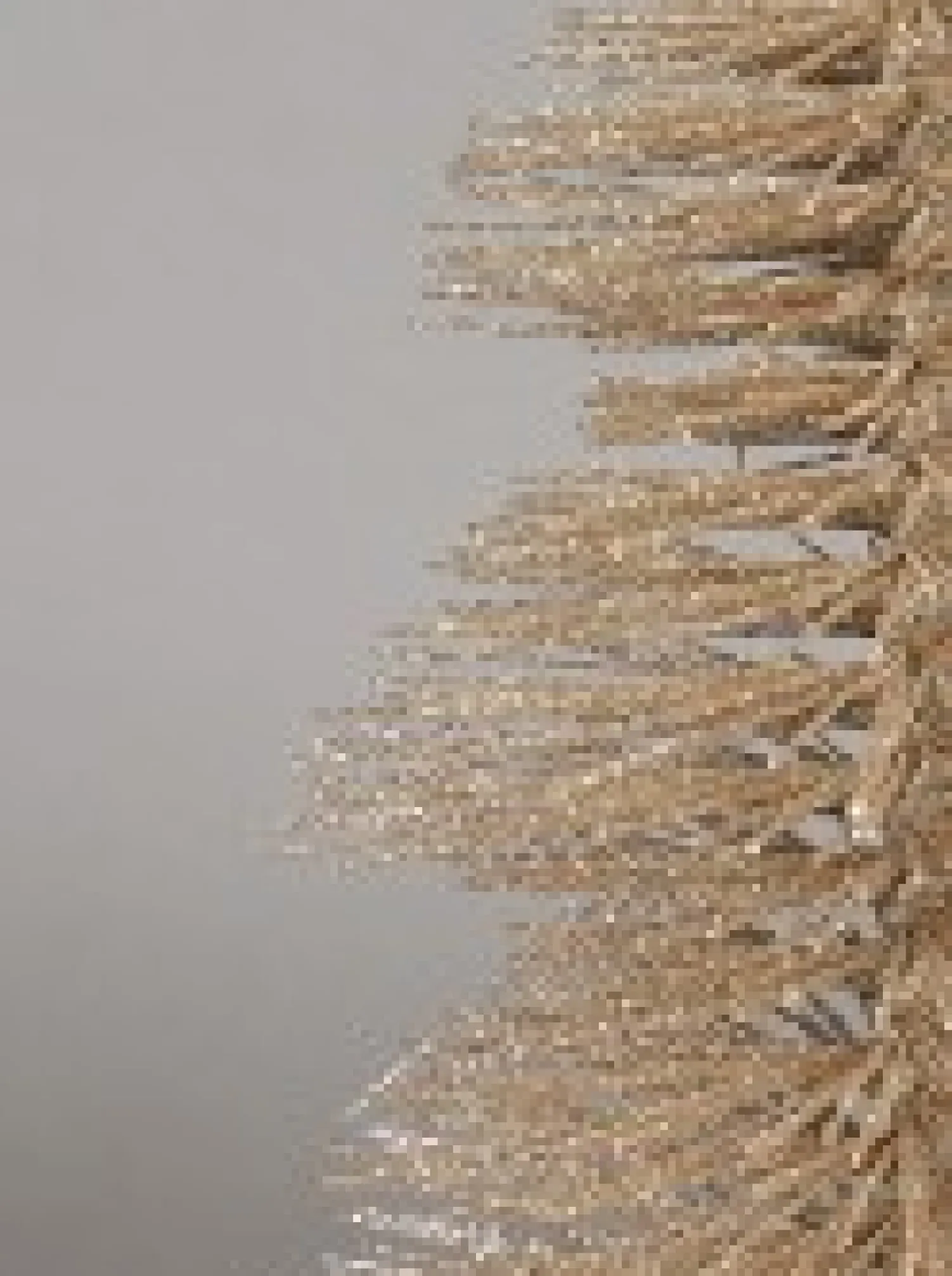 Christmas Warehouse Large Glittered Champagne Spiral Pine Needle Christmas Table Top Tree - 30Cm> Table Top Christmas Trees