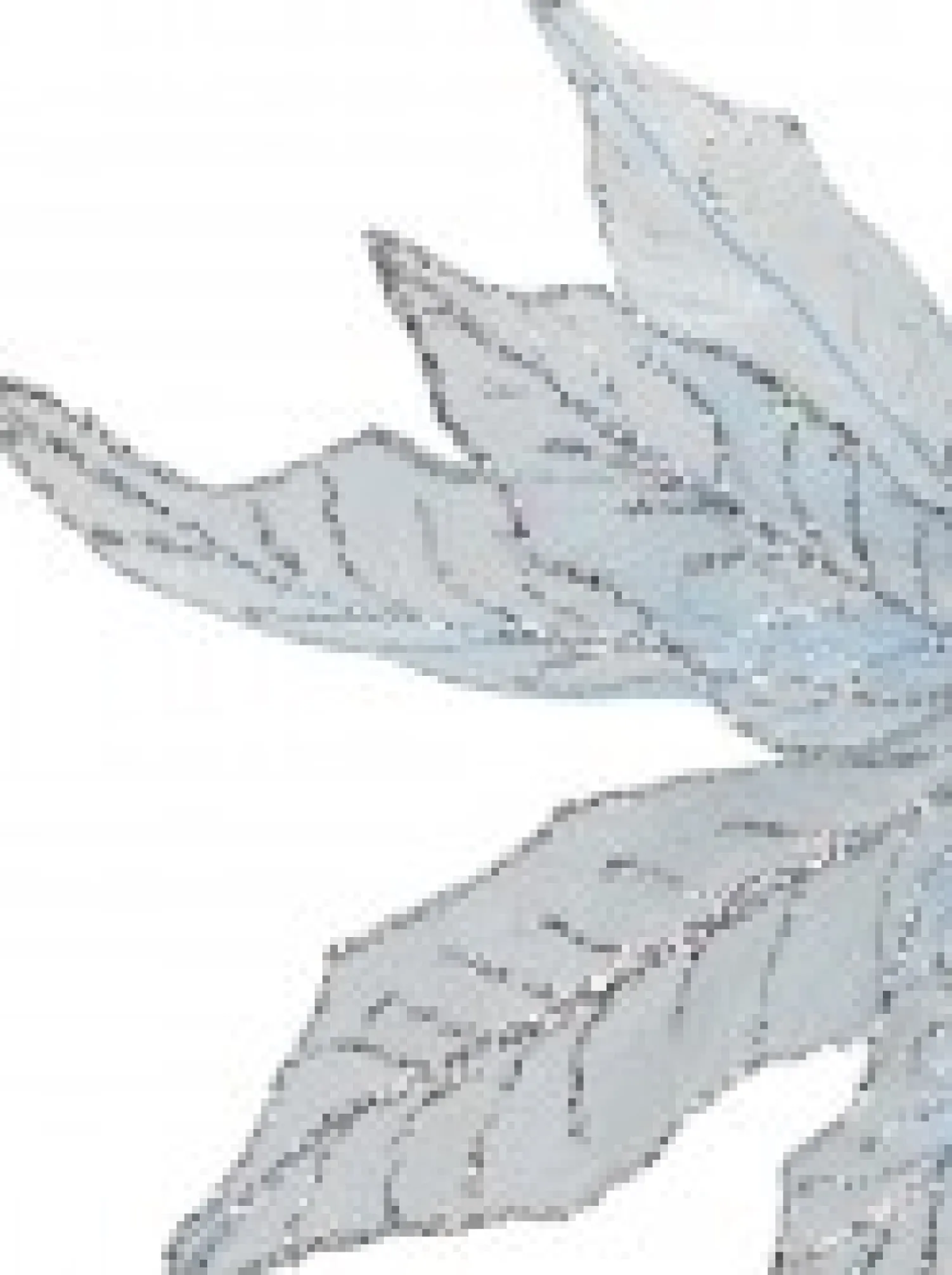 Christmas Warehouse Light Baby Blue Glittered Mesh Leaf Poinsettia Christmas Flower Pick - 28Cm> Christmas Picks
