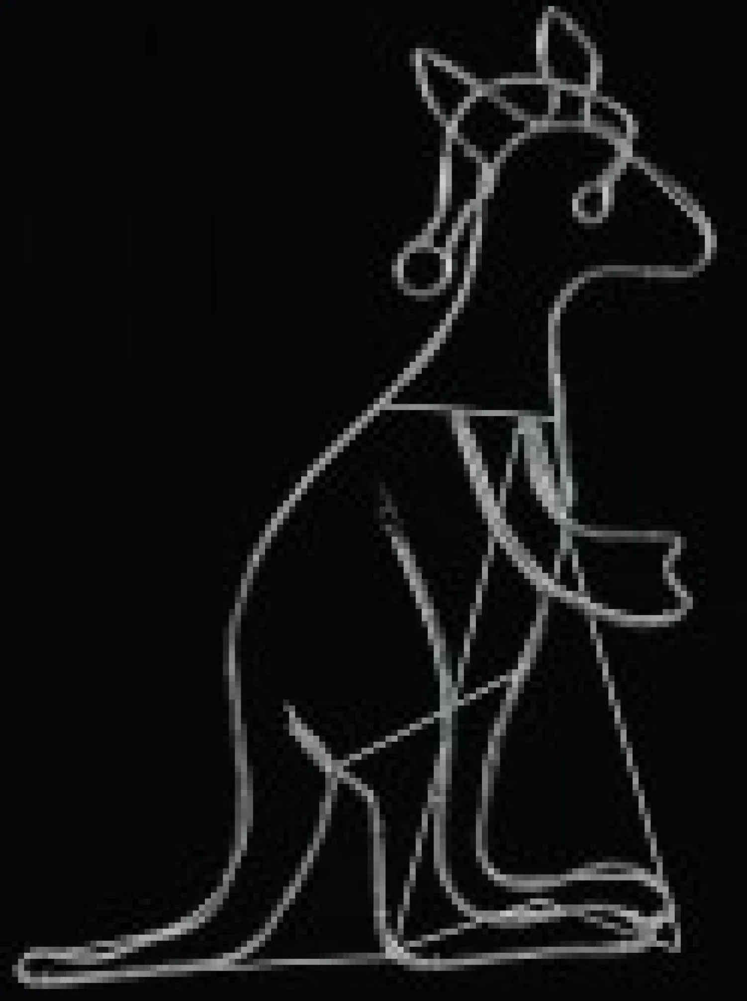 Christmas Warehouse Multi Colour Led Buru The Christmas Kangaroo Light Display Silhouette - 1.1M> Christmas Light Displays