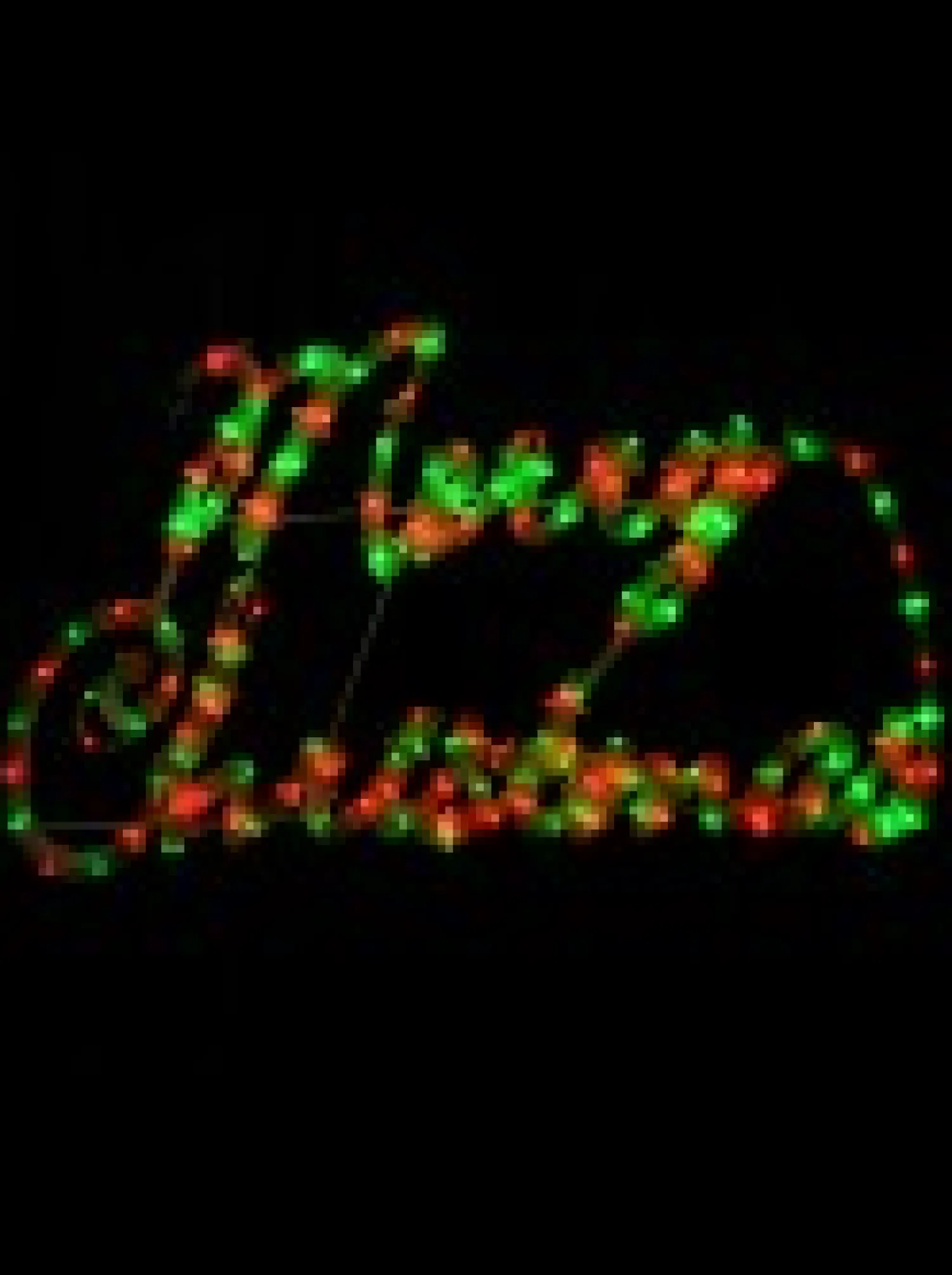 Christmas Warehouse Red & Green Cursive Merry Christmas Led Rope Light Silhouette - 72Cm> Christmas Light Displays