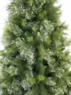 Christmas Warehouse Stratford Mixed Pine Traditional Christmas Tree With 2025 Tips - 2.3M> Traditional Christmas Trees