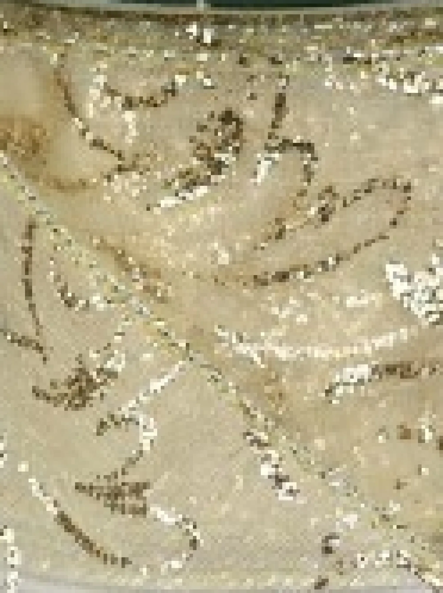 Christmas Warehouse Swirl Pattern Cream On Sheer Christmas Ribbon With Gold Glitter Edging - 3M> Christmas Ribbon