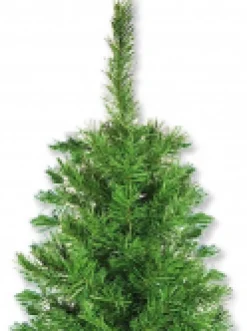 Christmas Warehouse Valley Pine Traditional Christmas Tree With 154 Tips - 1.2M> Traditional Christmas Trees