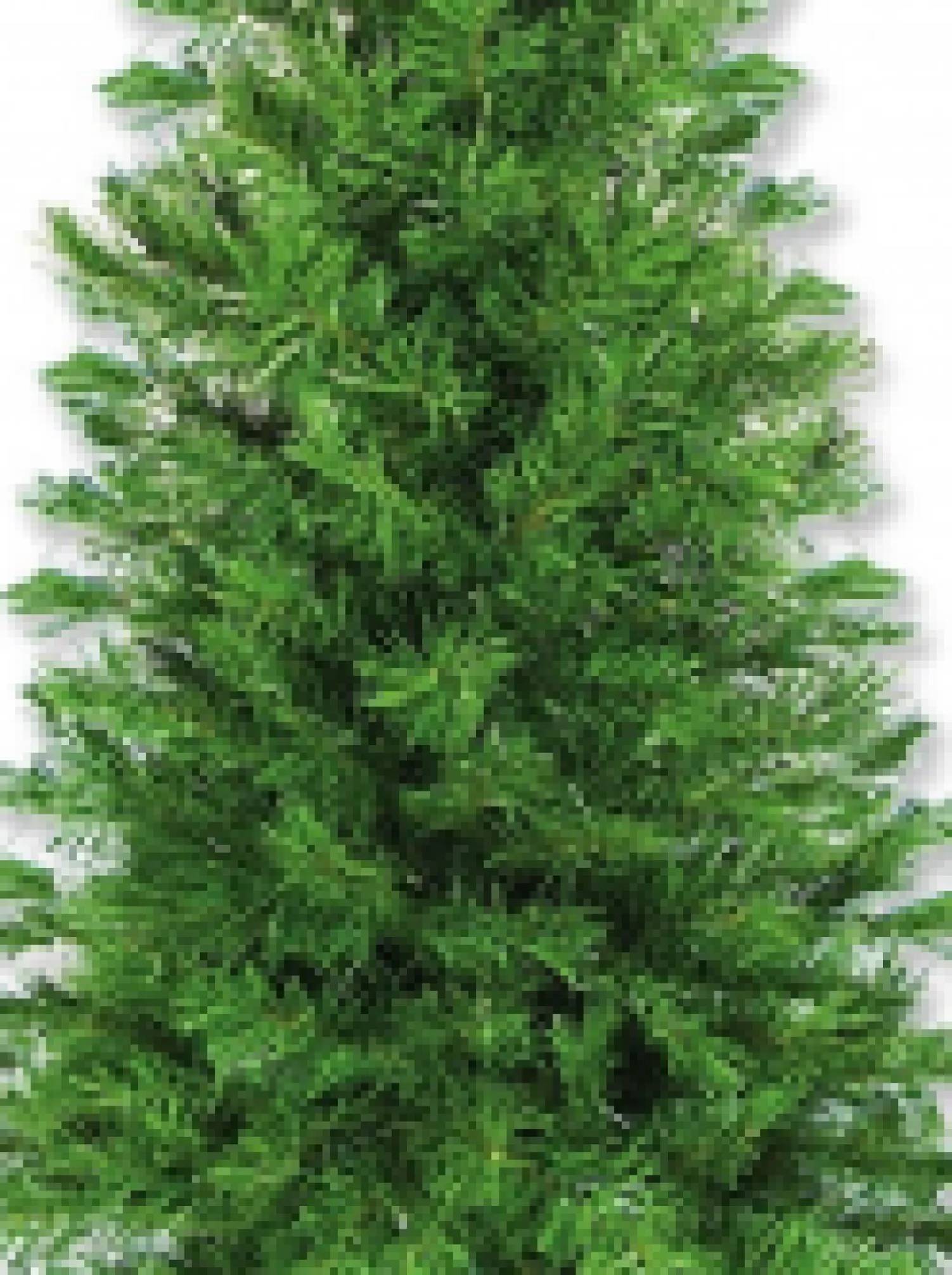 Christmas Warehouse Valley Pine Traditional Christmas Tree With 154 Tips - 1.2M> Traditional Christmas Trees