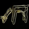 Christmas Warehouse Warm White Animated Grazing Reindeer Neon Christmas Light Display - 77Cm> Christmas Light Displays - 3D