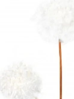 Christmas Warehouse White Pom Pom Snowballs Decorative Christmas Spray Pick - 15Cm> Christmas Picks