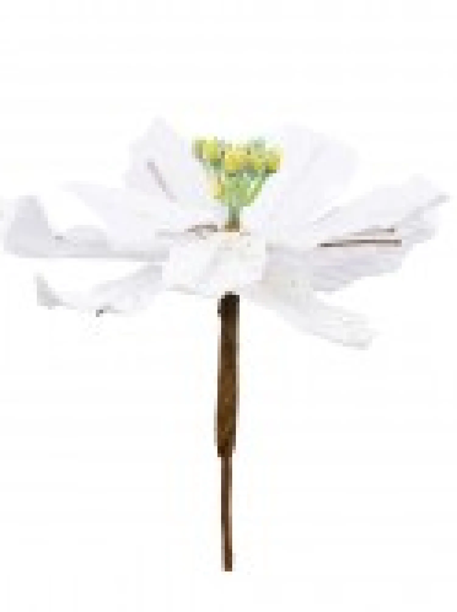 Christmas Warehouse White Sequin & Fabric Petal Poinsettia Decorative Christmas Flower Pick - 14Cm> Christmas Picks